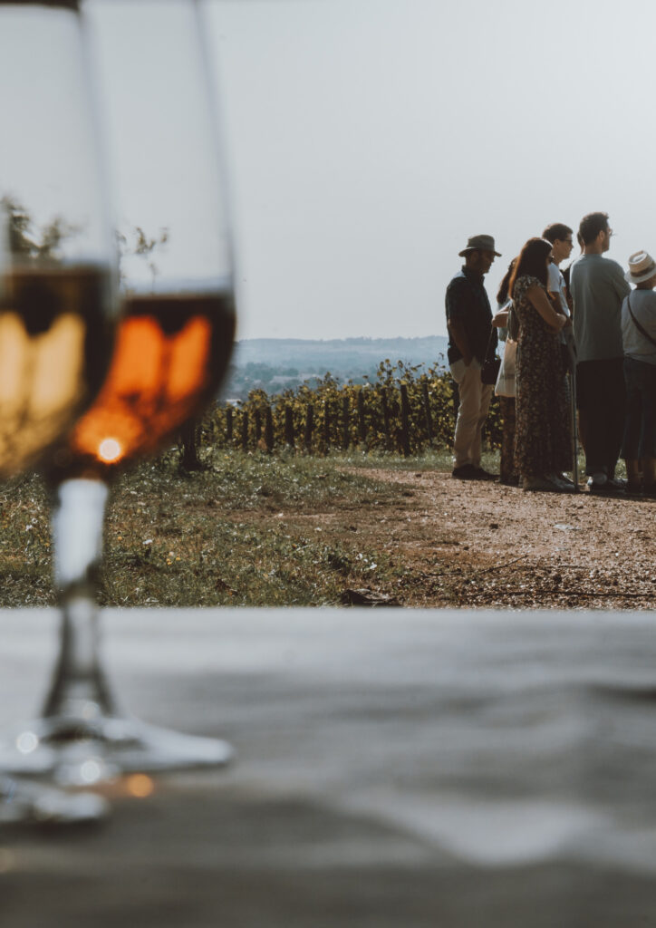 Personne &eacute;coutant le vigneron lors de la visite oenotouristique d'un domaine viticole, dans les vignes du Layon